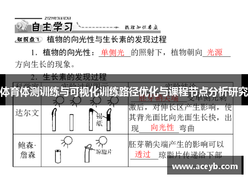 体育体测训练与可视化训练路径优化与课程节点分析研究
